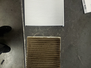 Car Filter Replacememt in Sarasota, FL by Kaufman’s Auto Repairs